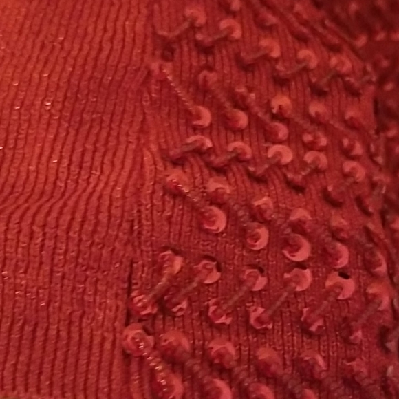 Ruby Red Sequin Camisole Medium - Picture 11 of 12